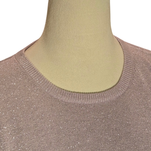 Anna Gray Silk Blend Boat Neck Pale Mauve Silver Metallic Sweater Women size 1X - Picture 4 of 8